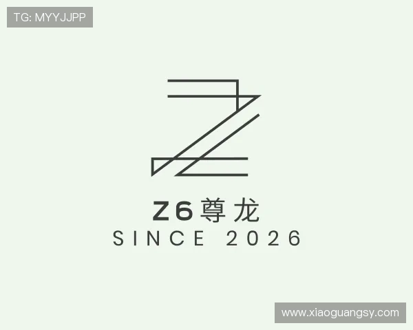 关于Z6尊龙